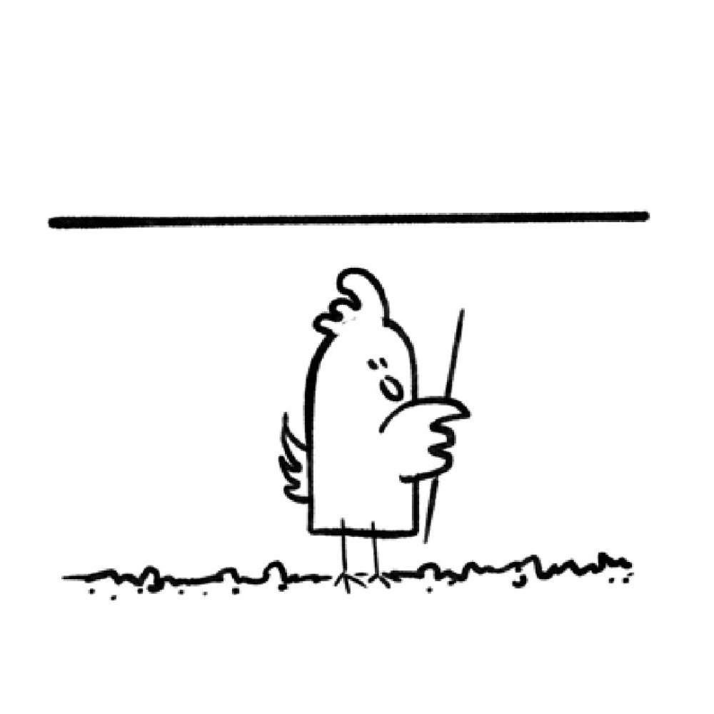 Comic: The Do it Yorself Chicken 5