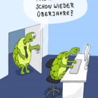 SCHILDKRÖTEN IM BÜRO
