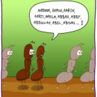 AUGEN ZU