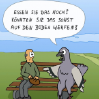 Evolution