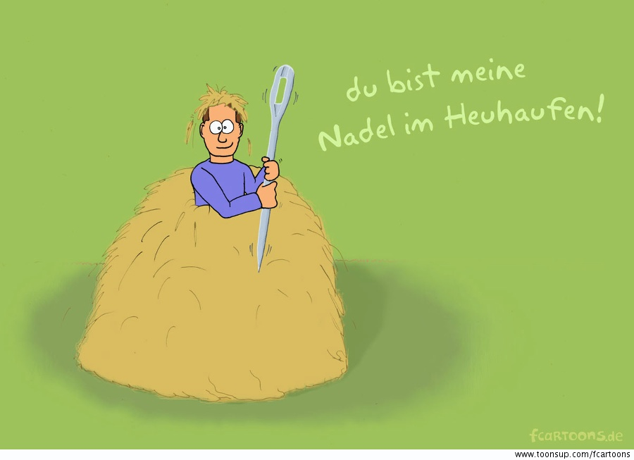 Illustration: Nadel im Heuhaufen 1