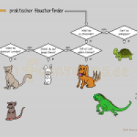 Haustierfinder