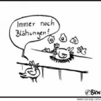 Hühnerproblem