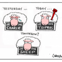 Sheeps