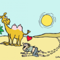 Mirage
