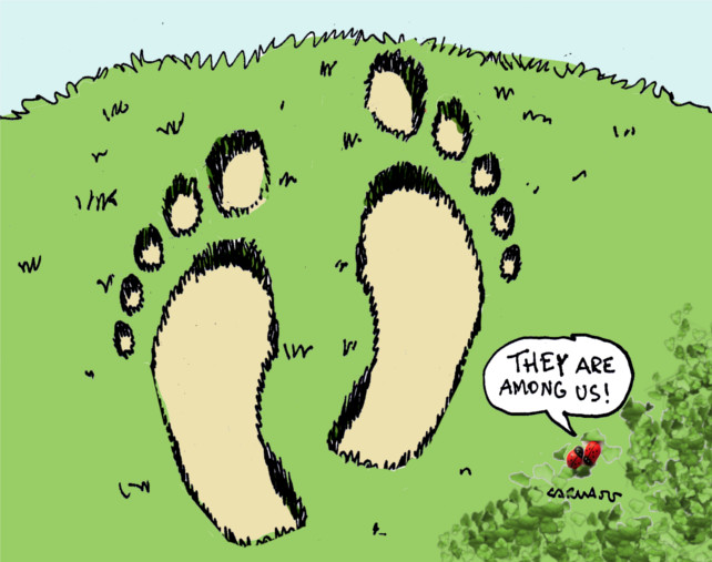 Cartoon: Crop Circles 1