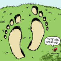 Crop Circles