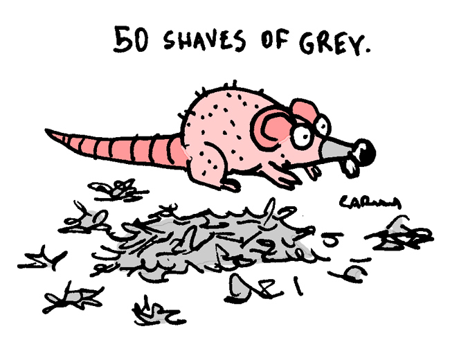 Illustration: 50 3