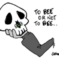 Bee