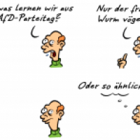 Kommentar AfD-Parteitag