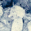 cojosojos