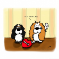 Cav the Cavalier 010
