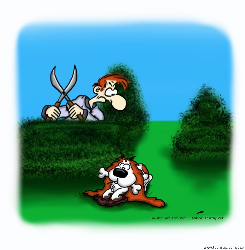 Cartoon: Cav the Cavalier 031 1