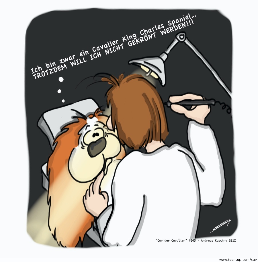 Cartoon: Cav der Cavalier 043 1
