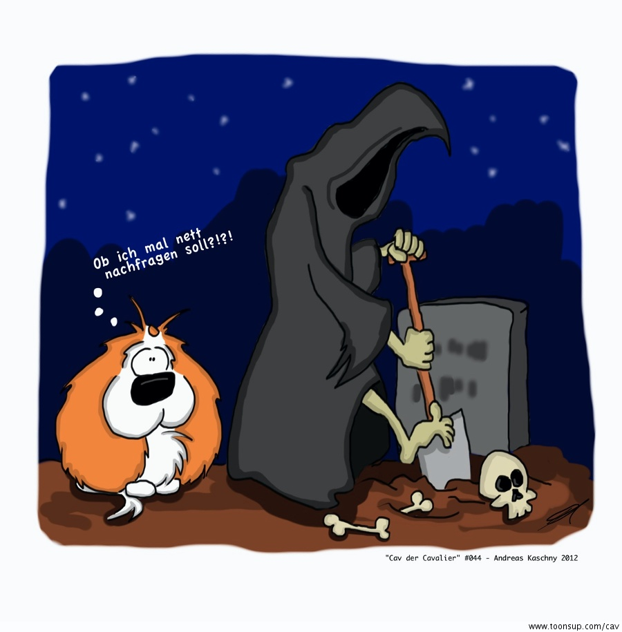 Comic: Cav der Cavalier 044 1