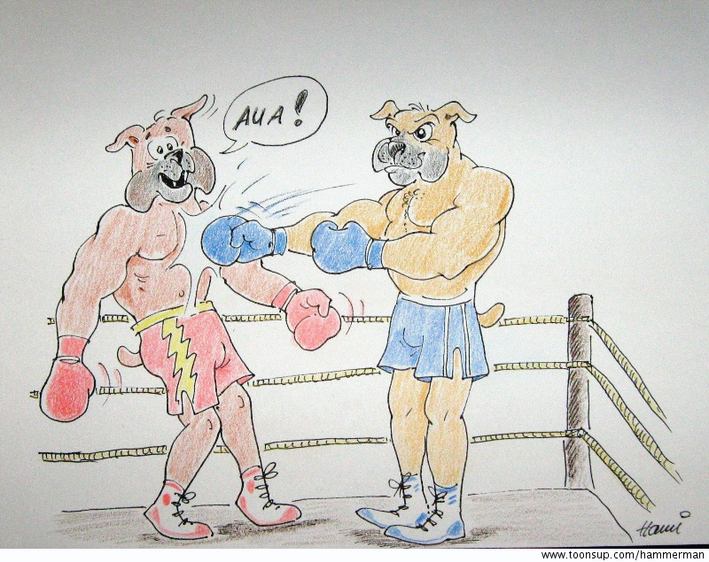 Cartoon: Die Boxer 1