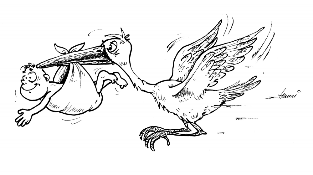 Illustration: #11 Transport 1