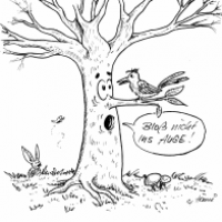 #14 Tree