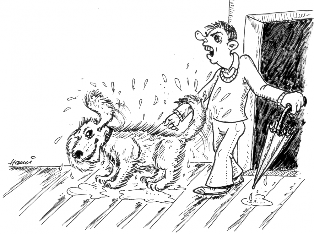 Illustration: #16 wet 1