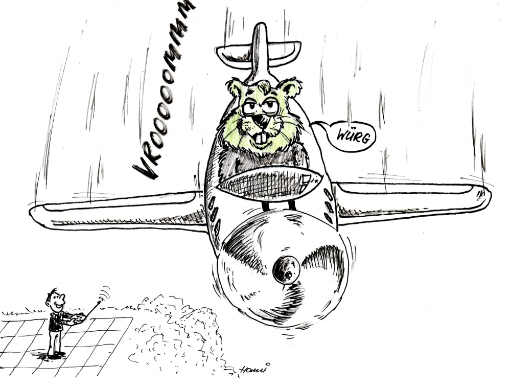 Cartoon: #19 flight 1