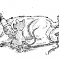 #25 tired