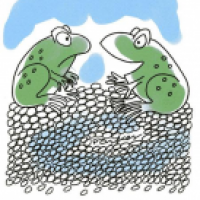 Frog family