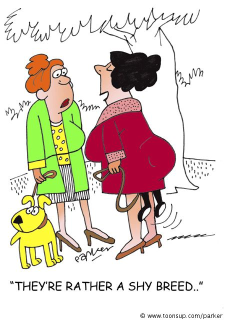 Cartoon: Shy breed. 1