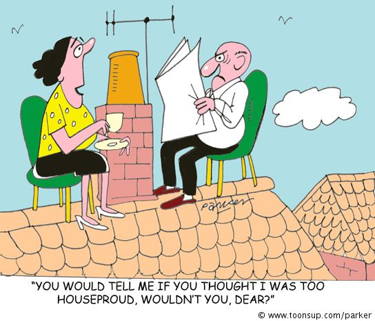 Cartoon: Houseproud. 1