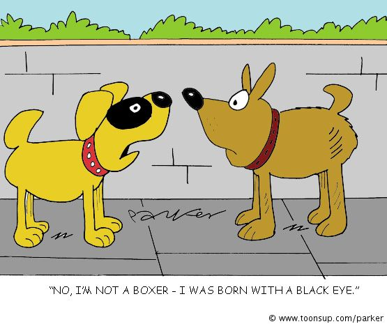 Cartoon: A dog's life. 1