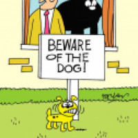Little big dog.