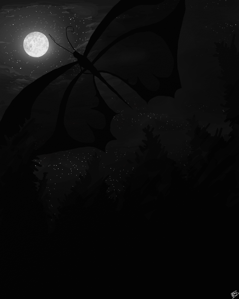 Illustration: Black Butterfly 1