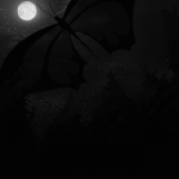 Black Butterfly
