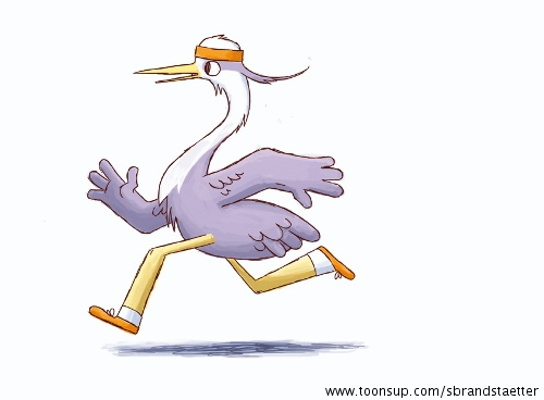 Cartoon: Animal Athletics 1
