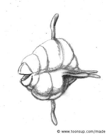 Concept Art / Character Design: Cute animal sketches 1