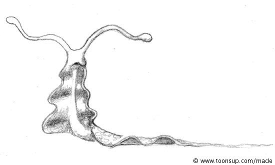 Concept Art / Character Design: Cute animal sketches 2