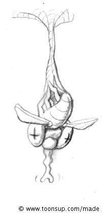 Concept Art / Character Design: Cute animal sketches 10