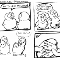 Legehennenproduktion
