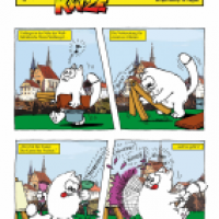 Die RegenBogenKatze von Strassengel