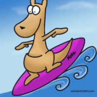 Surfing Cangaroo