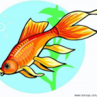 fisch