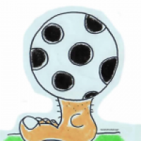 Die kleine Fußballfibel