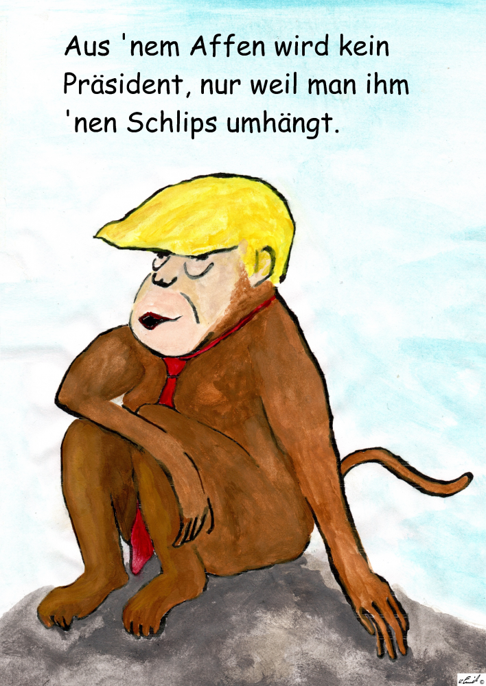 Karrikatur: Monkey Trump 1