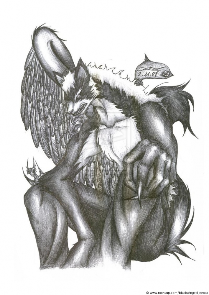 Illustration: blackwinged-neotu (altes design) 1
