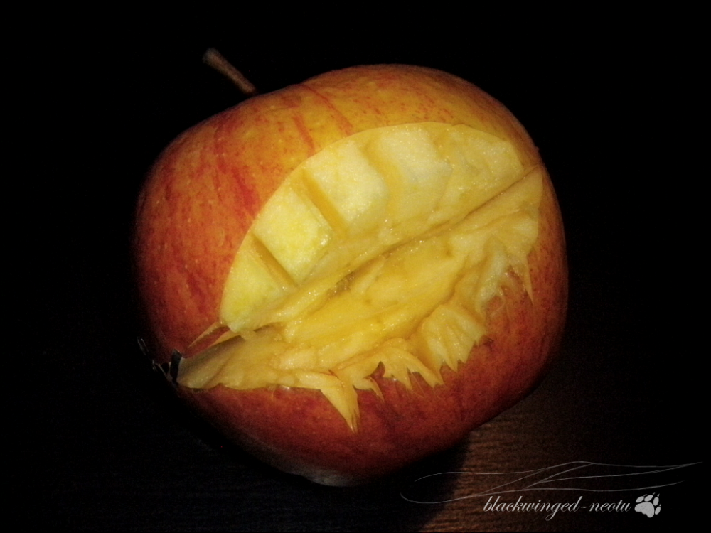 Other: Bad Apple 2