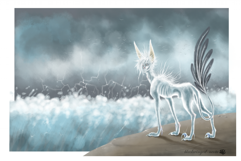 Illustration: nocte tempestas 1