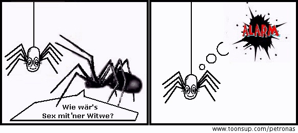 Cartoon: Sex unter Lebensgefahr 1