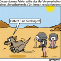 Neue Strategie