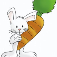 La Rabbit