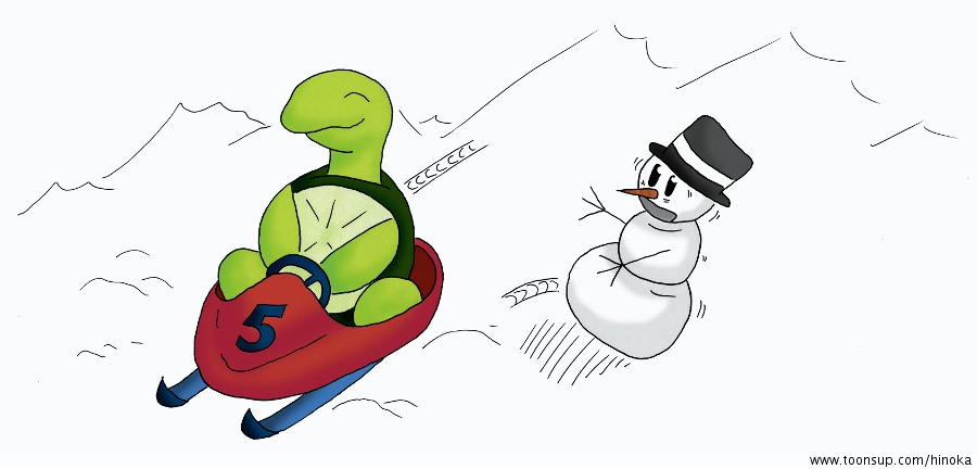 Illustration: Schildkröte beim Bob Fahrn 1