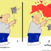 DEATH OF A FLY